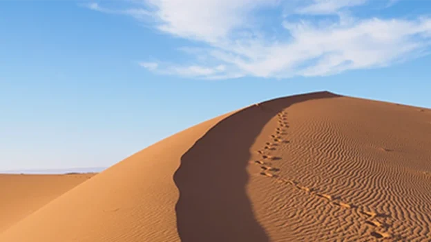 From distance to presence a daily devotional from Psalm